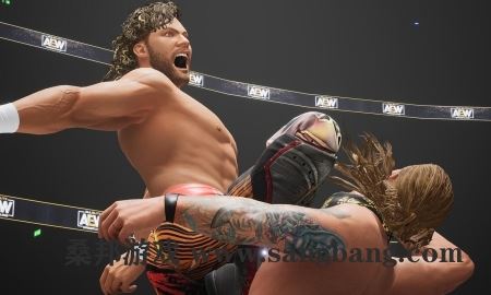 全精英摔角:永远的战斗 | AEW: Fight Forever 【28.2GB】