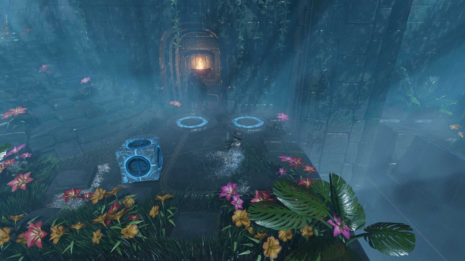 漫游乔和他的神秘冒险 | Joe Wander and the Enigmatic Adventures