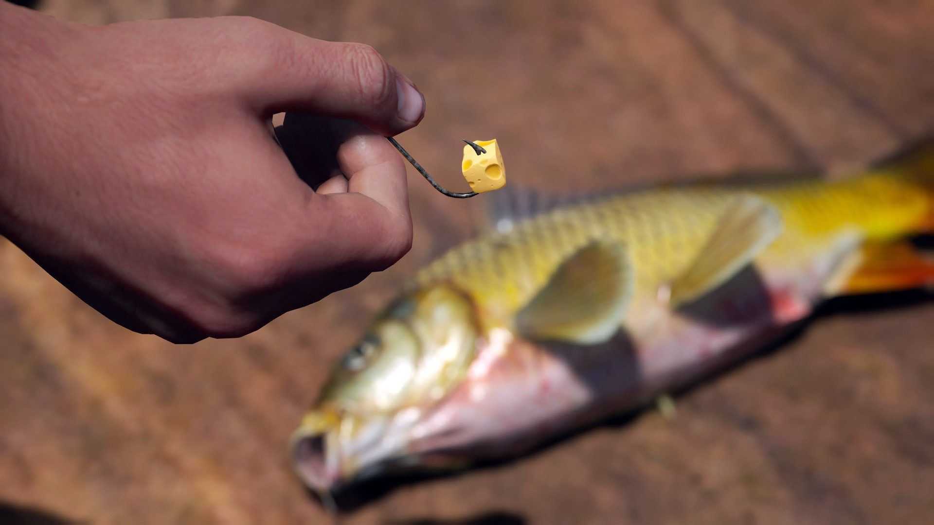 人渣 | SCUM-5 人渣 | SCUM