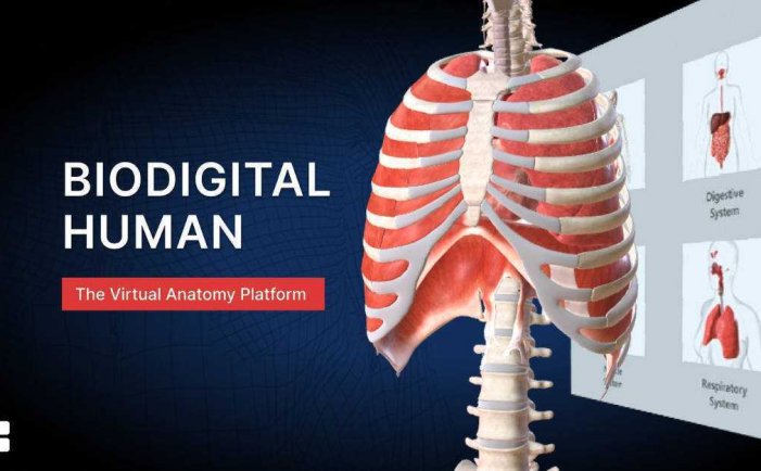 生物数字人- Meta Quest游戏