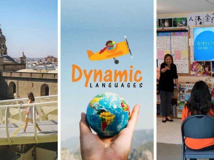 动态语言- Meta Quest游戏