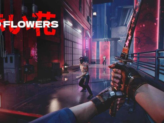 红花开- Meta Quest游戏