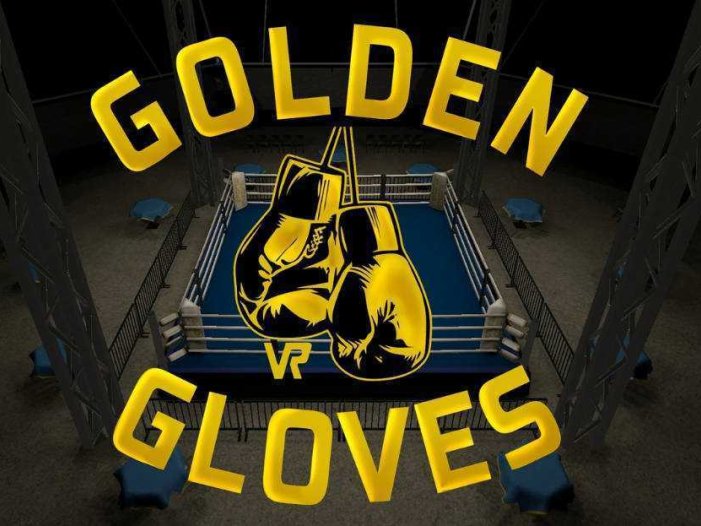 金手套拳击- Meta Quest游戏