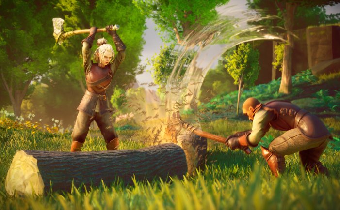 符文世界：龙之荒野-RuneScape: Dragonwilds-支持网络联机