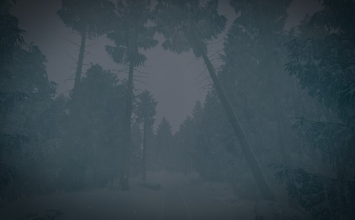 最后的滑雪之旅-The Last Ski Trip