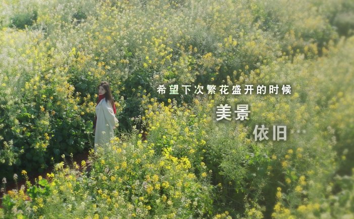 这个是真的喜欢！-I\’ve Fallen For You!