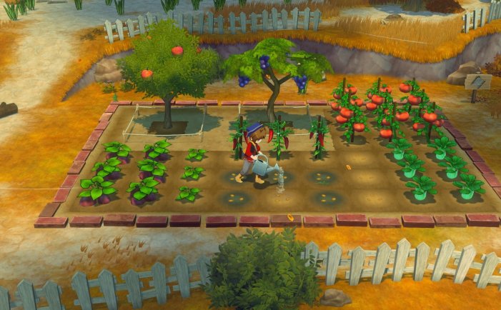 牧场物语 来吧！风之繁华集市-STORY OF SEASONS: Grand Bazaar