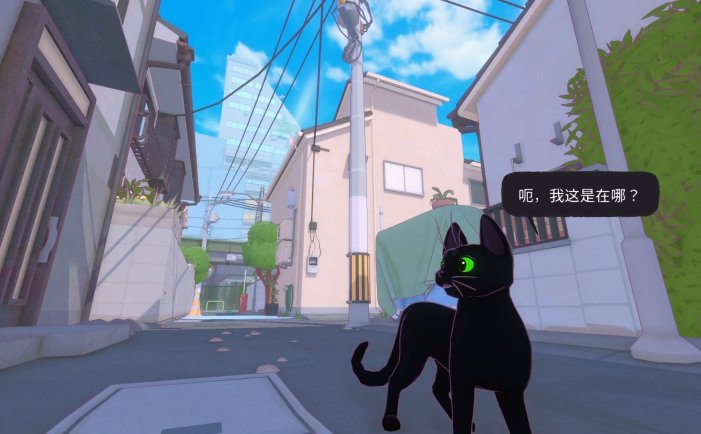 小猫咪大城市-Little Kitty, Big City