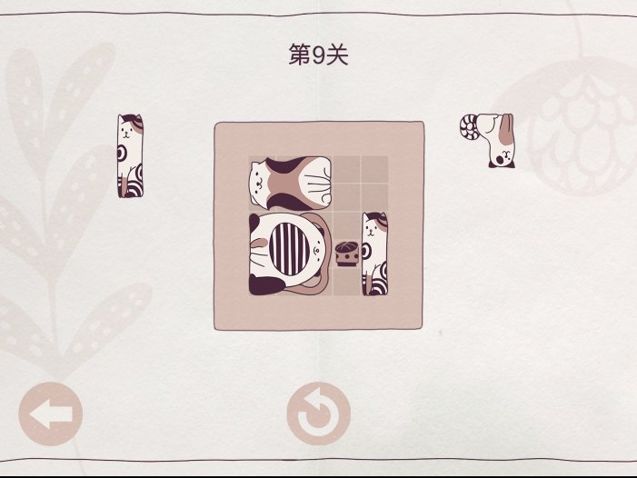 井然有猫-Cats Organized Neatly