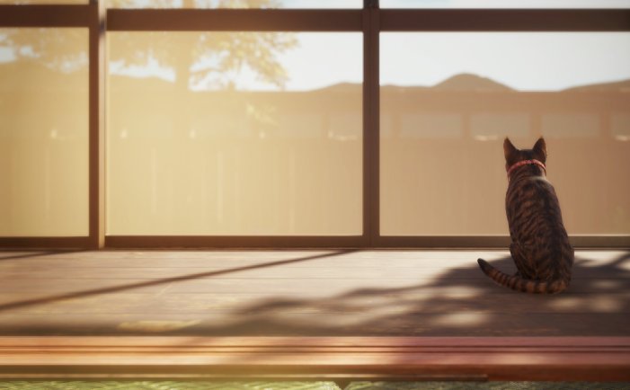 猫还在逃吗？-Still It Runs