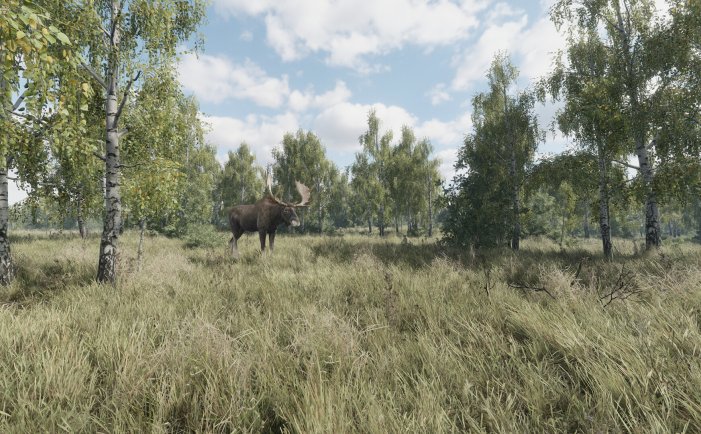 猎捕行动-On the Hunt