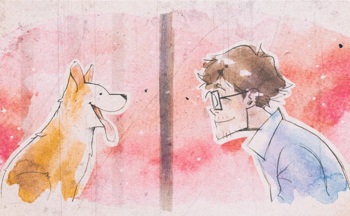 我的小柯基-My Little Puppy