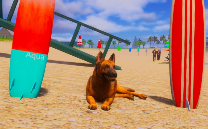 迷途狗爪-Lost Paws