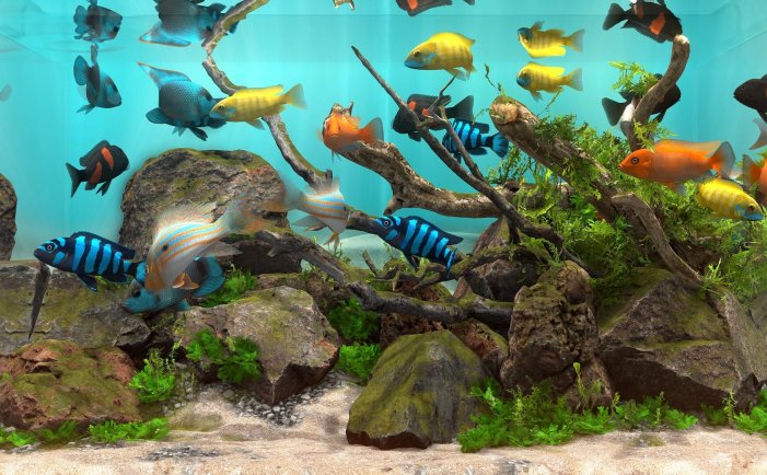 玻璃背后：水族馆模拟器-Behind Glass: Aquarium Simulator