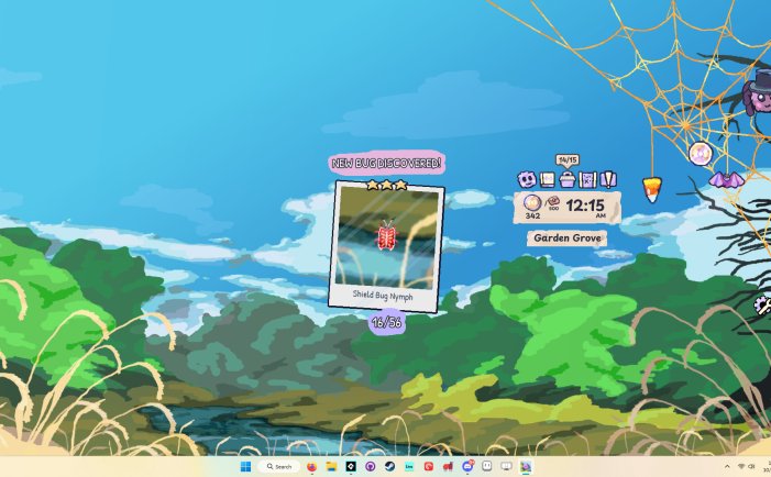 我的小小蜘蛛-My Little Spider