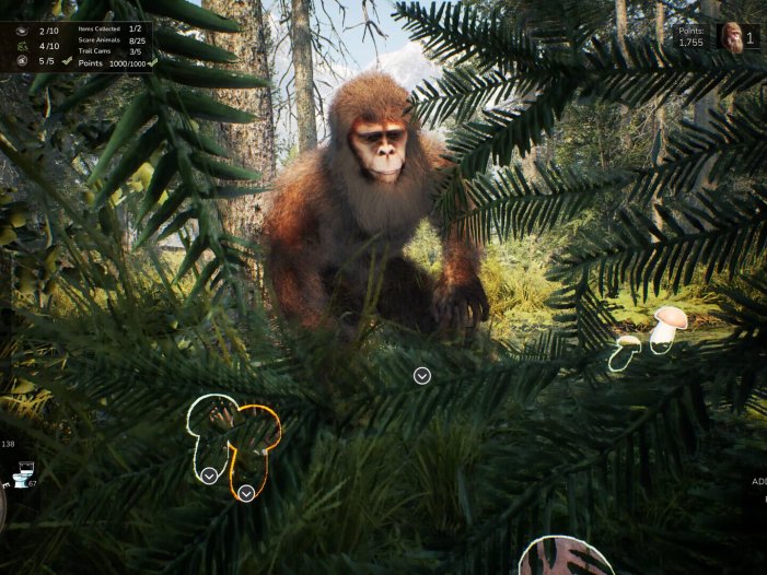 大脚怪生活-Bigfoot Life