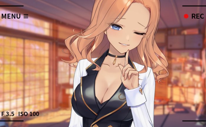 你的另一个老婆-Your Another Wife