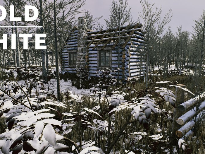 冷白-The Cold White